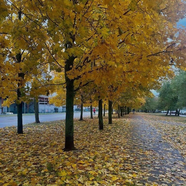 Фото Дианы Рогачевой-Радинской