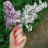 ksu_samoylova@inbox.ru